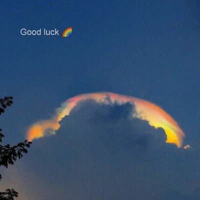 金年会app下载入口